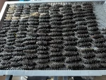 The finest & most premium sea cucumber in clean water of South Korea