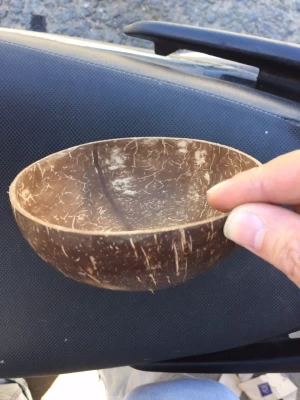 Coconut shell bowl
