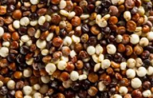 High Quality Quinoa