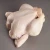Import Brazil Frozen Chicken feet/Chicken paws from Canada