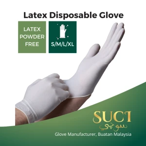 Latex medical examination glove (powdered or powder-free)
