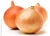 Import Red yellow and white onion from USA