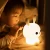 Import Baby Cute Rechargeable Touch silicone Gift Color Night Light from China