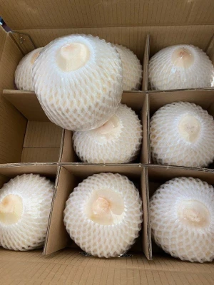 Fresh Coconut