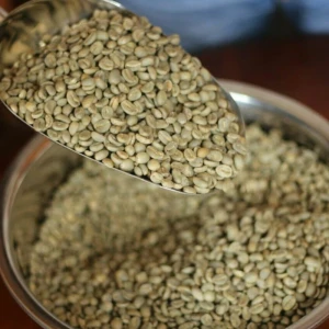 SUMATRA ARABICA MANDHELING GRADE 1 SC 16+