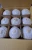 Import Fresh Coconut from United Arab Emirates