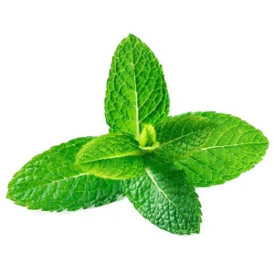 Natural Mint leaves