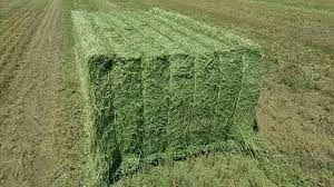 Dry Timothy Hay and Alfalfa Hay Available
