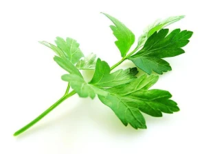 100% Pure Parsley