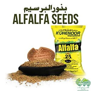 Alfalfa Seed
