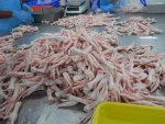 Frozen Chicken Paws/feet