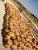 Import fresh pumpkin from Egypt