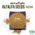 Import Alfalfa Seed from Pakistan