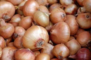 Red yellow and white onion