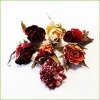 colorful rose buds