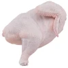 Fresh Frozen Whole Chicken