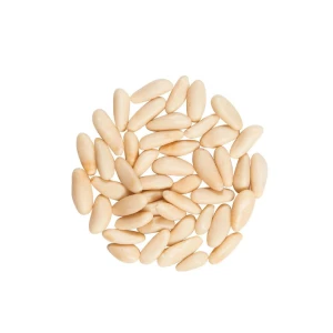 Cheap Bulk Open Pine Nut Pine Nuts Reasonable Price Content Fresh Pine Nuts Customized Packing High Quality