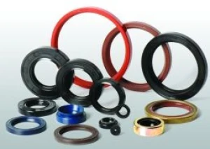 Evorion Polymers