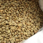 Premium Robusta Coffee Beans | Bold Body, Low Acidity & Crema