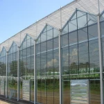Glass Greenhouse