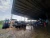 Import animal feed from Vietnam