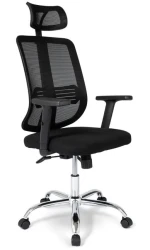 Ergodu Office Chair with Adjustable Armrests