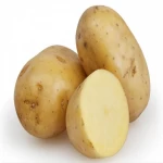 High Quality 100% Natural Product Cheap Price Professional Export Wholesale Fresh Potato