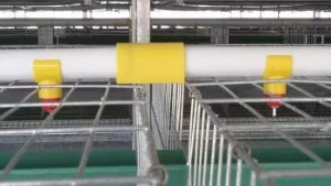Farm Drinking Nipples For Layer Broiler High Quality Cage Drinking System