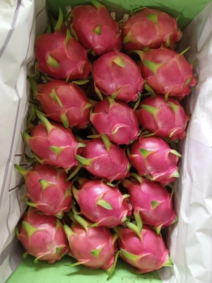 FRESH DRAGON FRUIT FROM THAILAND