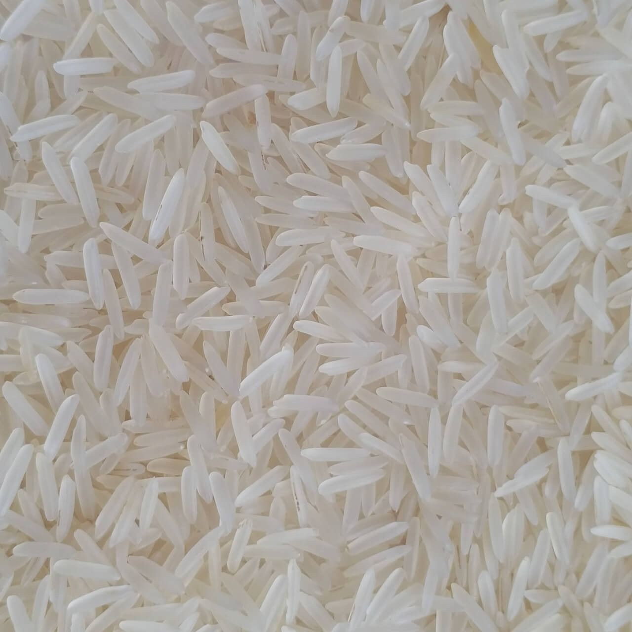 Buy Authentic Basmati Rice From Recent Harvest With Full Aroma Export ...