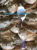 Dried Crab Shell