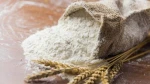 Premium Ukrainian Wheat Flour for Wholesale