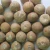 Import High Quality Dried Betel Nuts Dried Areca Nuts for Wholesales from South Africa