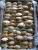 Import Dried Crab Shell from Vietnam