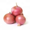 100% Fresh Export Quality Red Onion from India