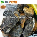 100% Natural Inonotus Obliquus Extract