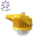 10W 15W 18W 20W 25W Oilfield ATEX LED Explosion-proof Lights