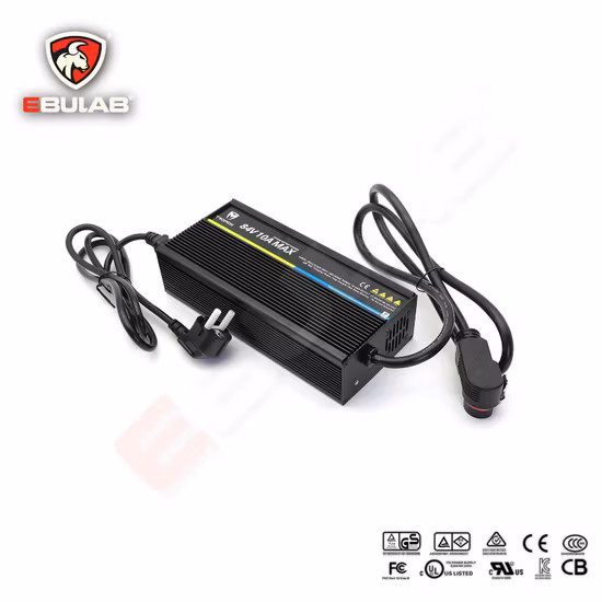 12.6V 12V 5A Power Adapter LiFePO 24V 36V 2A 3A 4A 5A 10A 12V Na Lithium Battery Charger