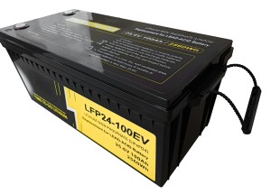 12V 24 Volt 100ah Solar LiFePO4 Battery Energi Storage Li Ion Batterie Eve Lithium Iron Phosphate Battery