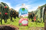 1L OH Dragon Fruit Juice Drink