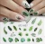 Import 1pcs Water Nail Decal and Sticker Flower Leaf Tree Green Simple Summer Slider for Manicure Nail Art Watermark Tips from China