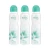 Import 200ml hot selling branded alcohol free perfumed body deodorant body spray from China factory direct from China
