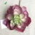 Import 2018 New Design Fake Artificial Succulent Plants for Spring Decoration from China