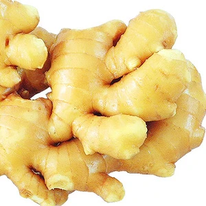 2019  Organic fresh ginger Thailand  /slim ginger