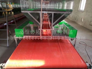 2021 High-Carbon Wire Rabbit Cages Breeding  for Rabbit Breeding  for Poultry Farming