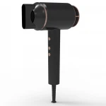 2021 Hot Sale Newest Attractive Price Professional Fast Dry Hair Dryer