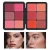 Import 2022 new arrival blush contour palette free sample concealer palette from Pakistan
