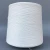Import 24NM/2 Rayon/Nylon Blended Yarn For Knitting And Weaving In Stock from China