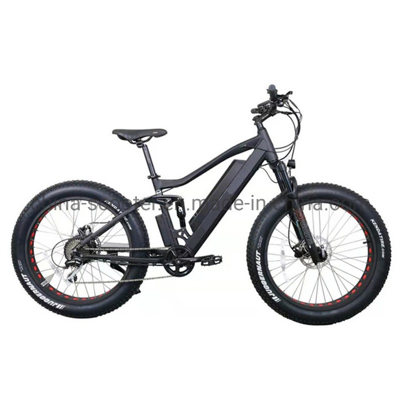 26; *4.0 Fat Tyre Electric Ebike with 8fun 750W Motor Suit for USA &amp; Canada Market