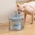 Import 2.6L Automatic Pet Water Fountain Cat Water Dispenser 2.6L Ultra Quiet Dog Water Bowl Pet Fountain with Quadruple-Action Filter from China